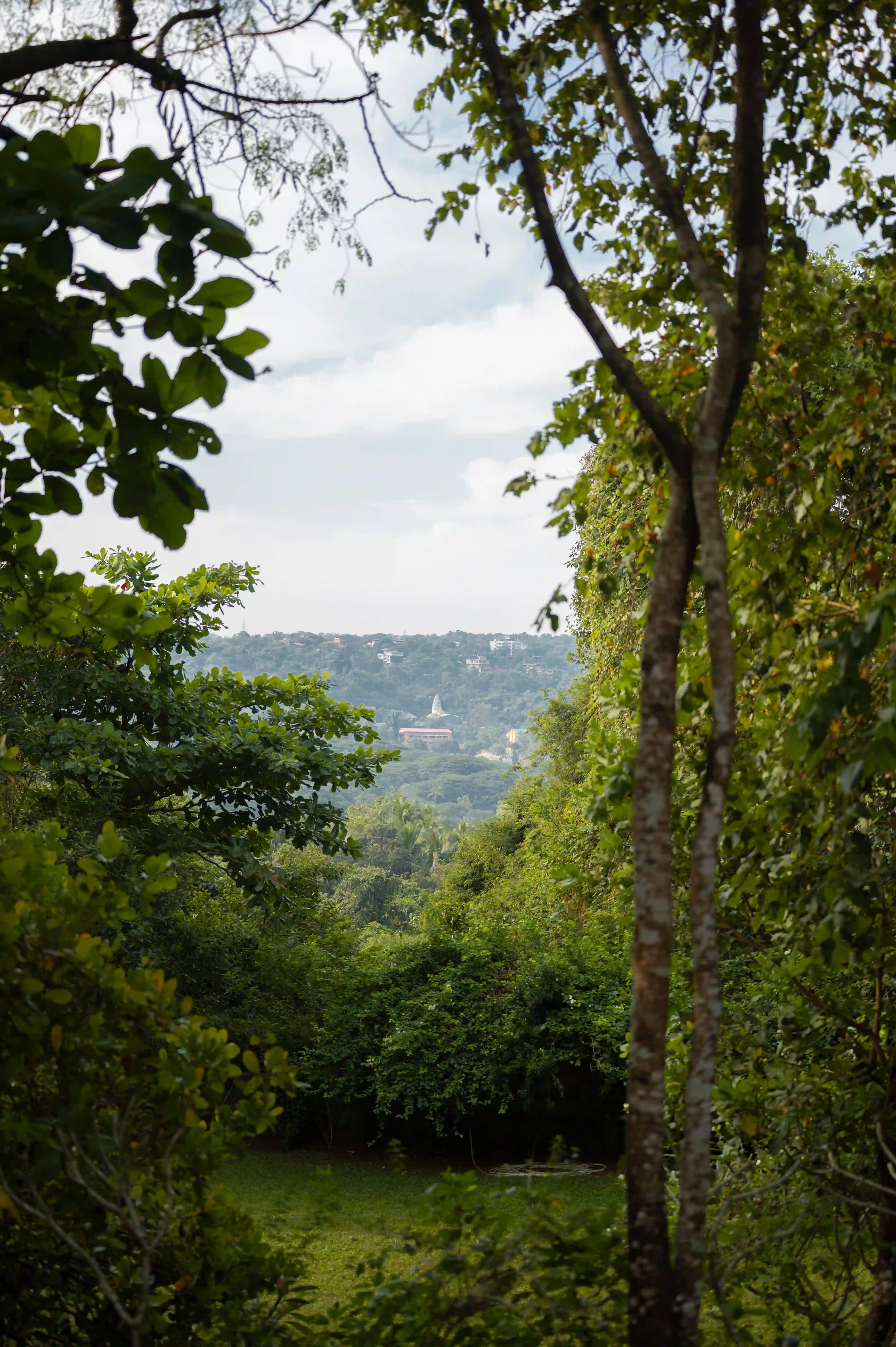 The Postcard Ayurvedic Retreat